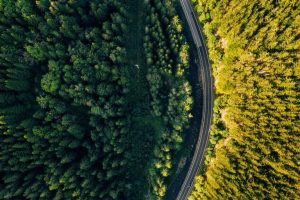 Plantar árboles con drones: la mejor opción para reforestar el mundo