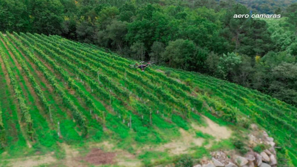 usos de los drones en viticultura - curso de drones